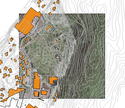 Raster as background in plan view