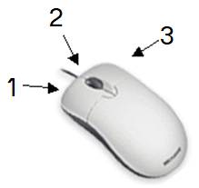 Illustration of mouse with three buttons